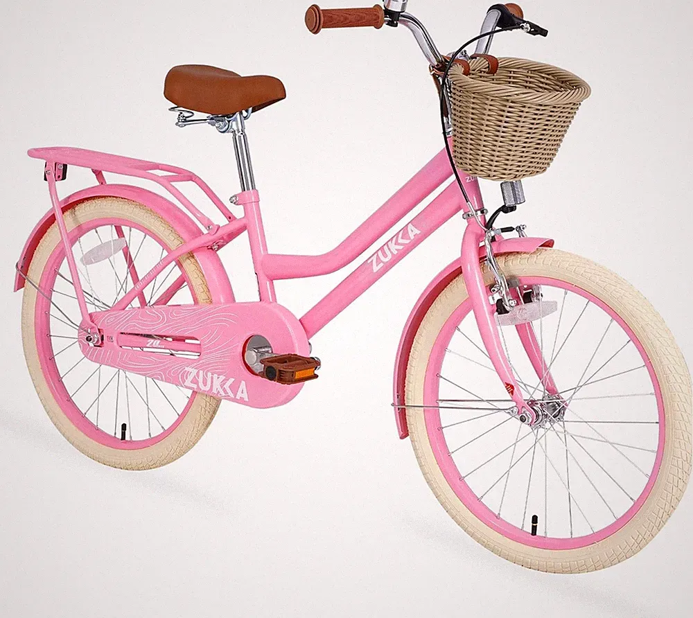 MEGHNA 20 Inch Girls Cruiser Bike Single-Speed City Bicycle for Over 7 Years Old